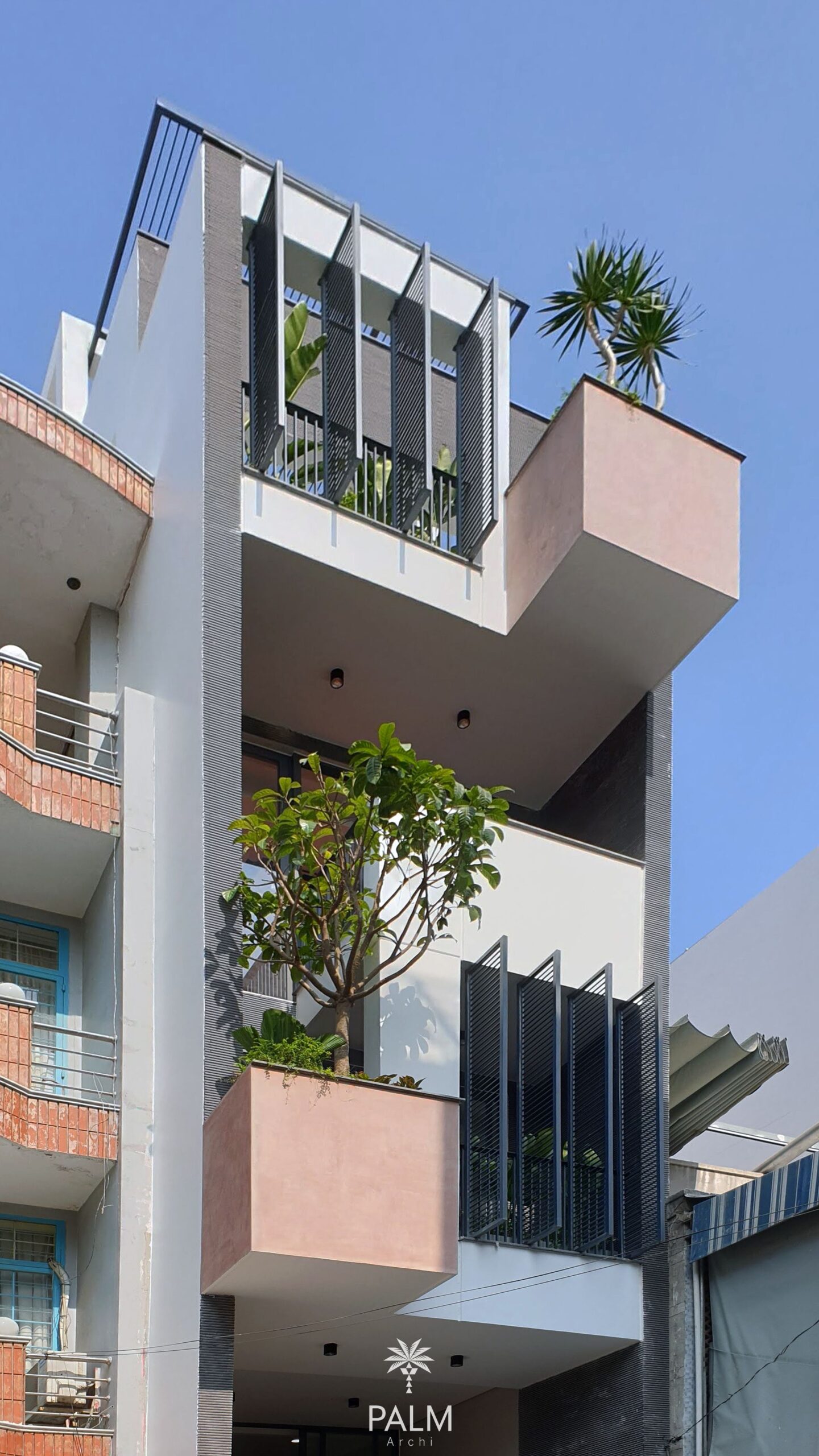 20191228 100119 Original copy palmarchi 1 scaled