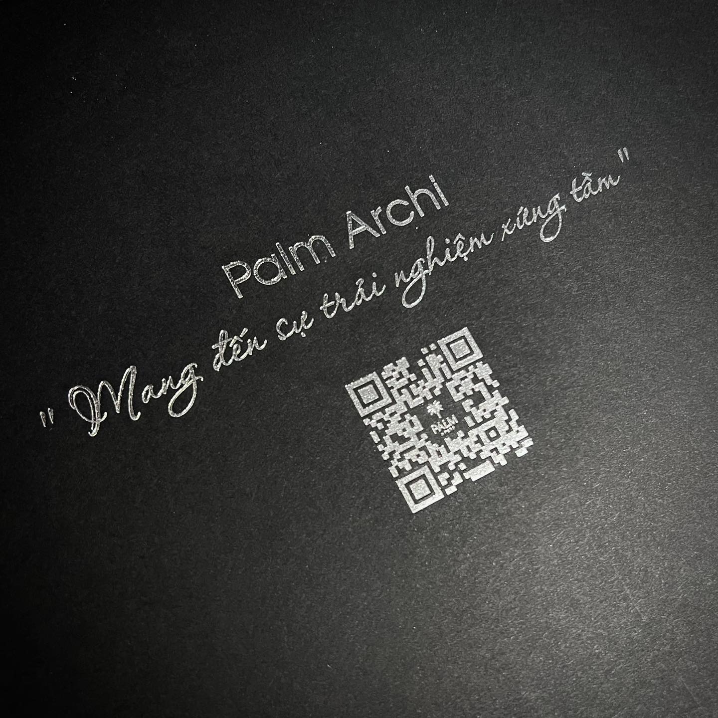 489781473 1271964348271761 6985353008024414223 n