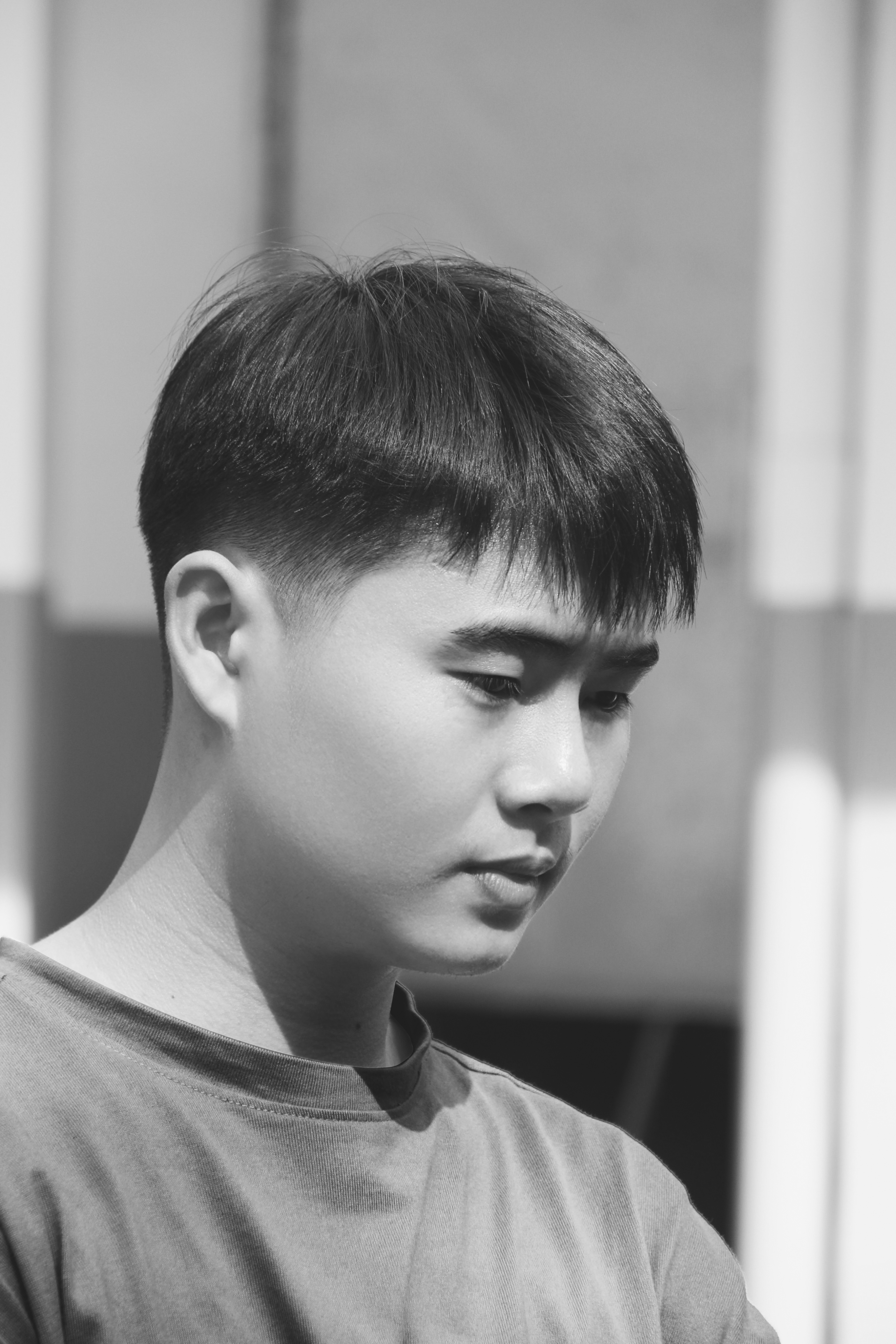 Nguyễn Tuấn Kiệt - Palm Archi